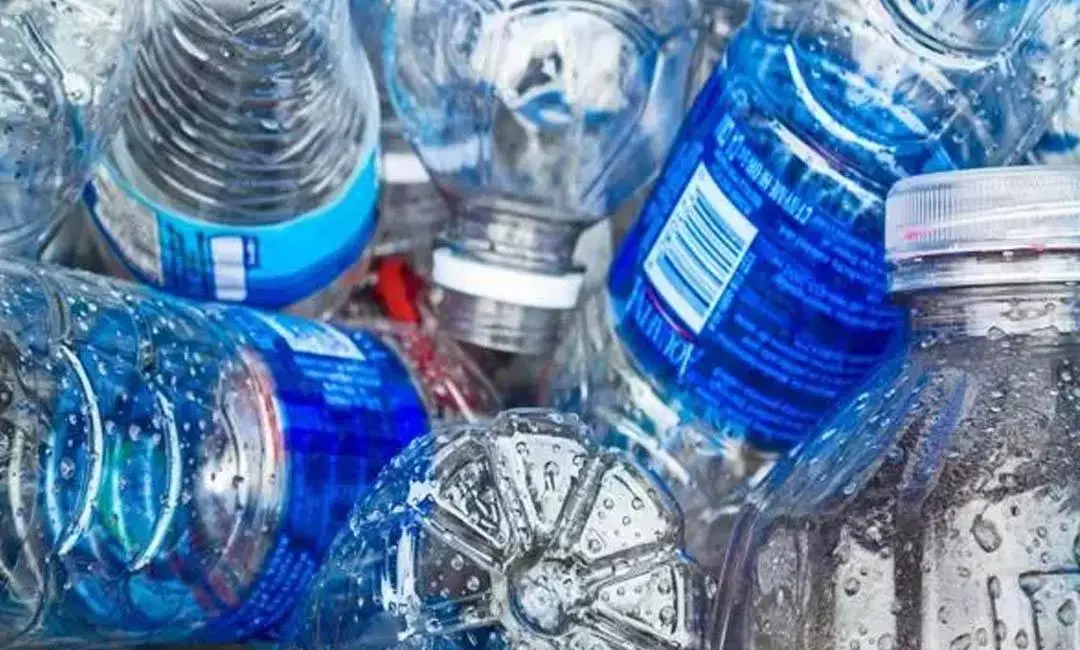 Mikroplastikler kemiklerimizin derinliklerine kadar ulaşabiliyor