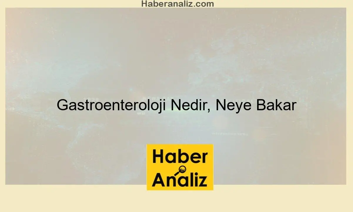 Gastroenteroloji Nedir, Neye Bakar