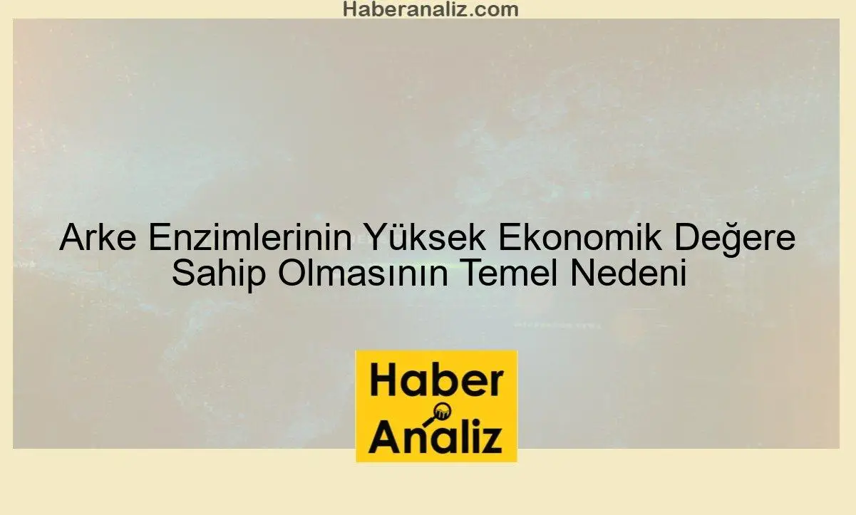 Arke Enzimlerinin Yüksek Ekonomik Değere Sahip Olmasının Temel Nedeni