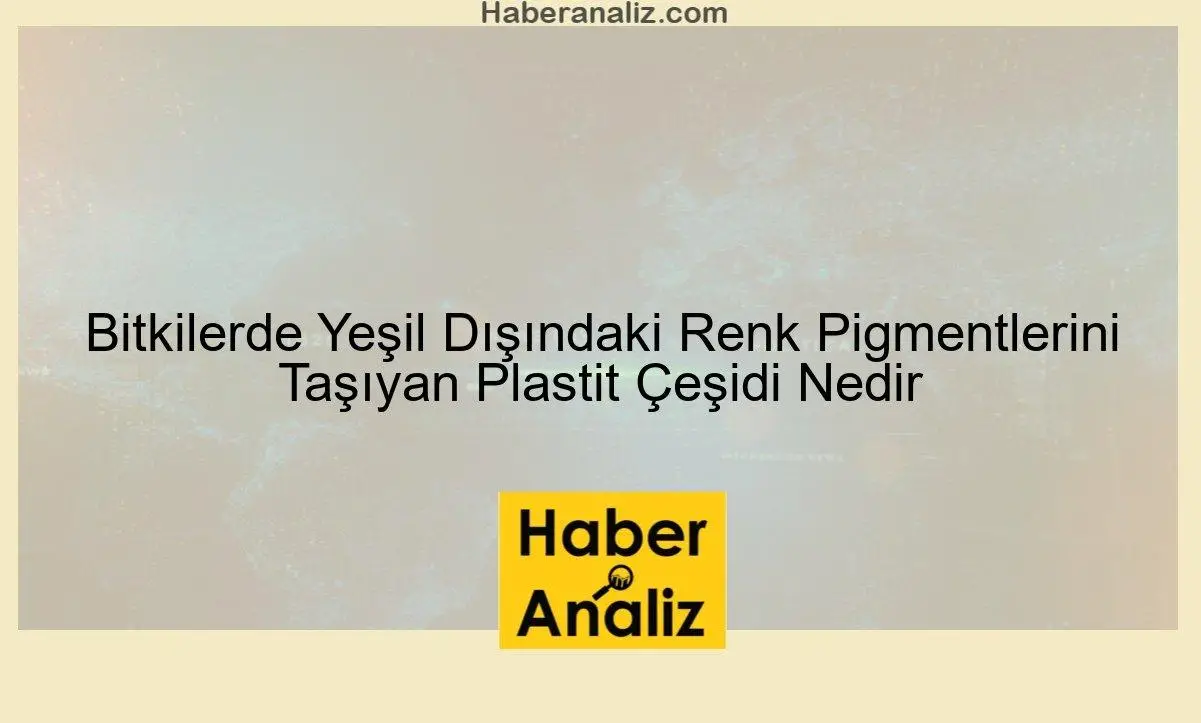 Bitkilerde Yeşil Dışındaki Renk Pigmentlerini Taşıyan Plastit Çeşidi Nedir