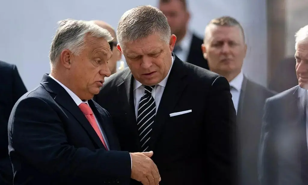 Macaristan ve Slovakya, Avrupa'yı 'savaş projesi' olarak nitelendirdi