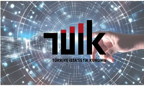 TÜİK’ten İlk Resmi Veriler Geldi: Türkiye Yapay Zeka İstatistikleri