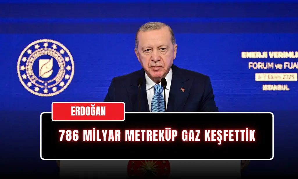 Cumhurbaşkanı Erdoğan: “Sakarya’da 785 Milyar Metreküp Doğal Gaz Keşfettik”