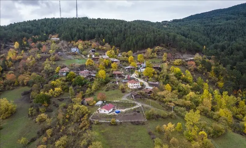 Ilgaz'da sonbaharın renkleri görenleri hayran bırakıyor
