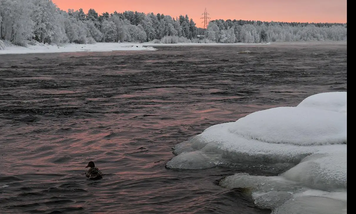Rusya'dan kritik hamle: 50 yıllık anlaşmayı feshetti!