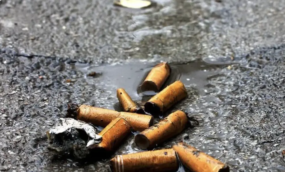 Almanya'da yere izmarit atan rekor ceza yiyecek!