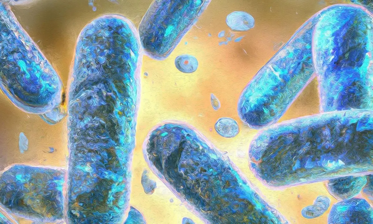 Bilim insanlarından mucizevi buluş: Yaşlanma yavaşlayacak!