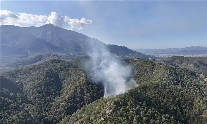Muğla'da başlayan orman yangını söndürüldü: 1 hektar alan zarar gördü